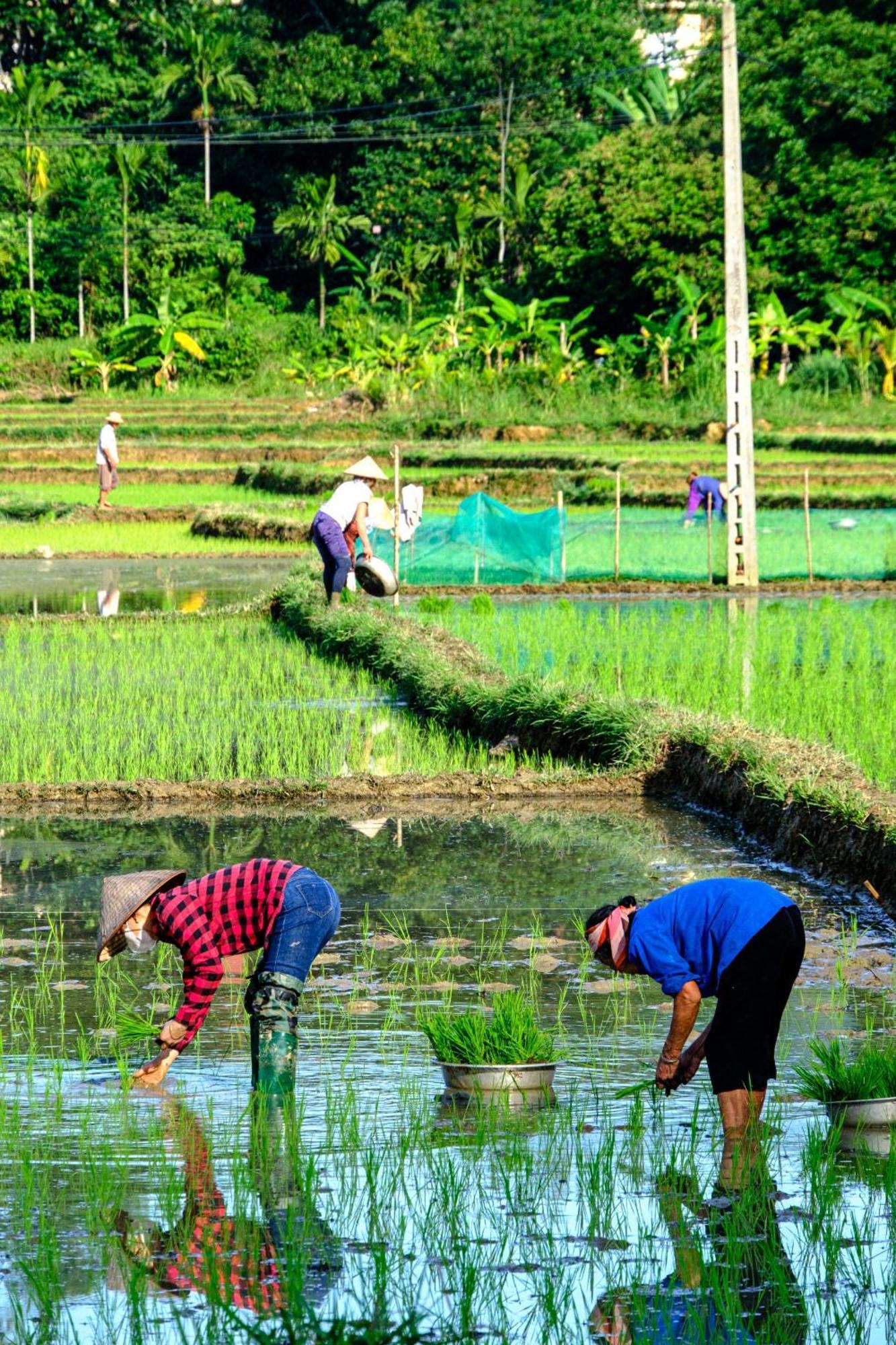 Nha Tan - Mai Chau Homestay And Tours Exteriér fotografie